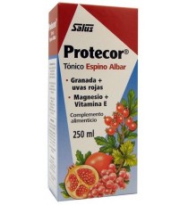 Protecor - 250ml - Salus