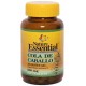 Cola de Caballo 500mg - 250 Comprimidos - Nature Essential