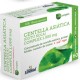 Centella Asiatica Complex - 400mg - 60 Cápsulas - Nature Essential