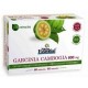 Garcinia Gambogia Complex - 800mg - 60 Capsulas - Nature Essential