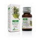 Aceite Esencial de Pino - 15ml - Soria Natural
