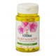 Harpagofito - Extracto Seco - 500mg - 50 capsulas - Nature Essential