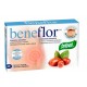 Beneflor - Regulador intestinal - 40 capsulas - Santiveri