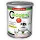 Colageno Hidrolizado - 300g - Pinisan
