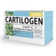 Cartilogen Elastic - DietMed - 20 ampollas