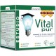 Jalea Real Vital Pur Estudio - 20 viales - Drasanvi