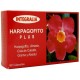Harpagofito Plus - 60 Cápsulas - Integralia
