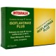Isoflavonas Plus - 60 Cápsulas - Integralia