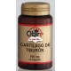 Cartílago de Tiburón 500mg - 60 Cápsulas - Obire