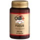 Fucus 500mg - 60 Capsulas - Obire