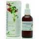 Extracto Arandano - 50ml - Soria Natural