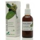Extracto Boldo - 50ml - Soria Natural