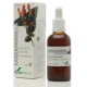 Extracto Zarzaparrilla - 50ml - Soria Natural