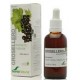 Extracto Grosellero Negro - 50ml - Soria Natural