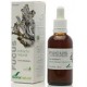 Extracto Fucus - 50ml - Soria Natural