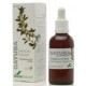 Extracto Gayuba - 50ml - Soria Natural