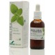 Extracto Melisa - 50ml - Soria Natural