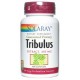 Tribulus 450mg - 60 Cápsulas - Solaray