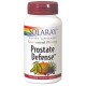 Prostate Defense - Próstata - 90 Cápsulas - Solaray