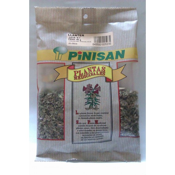 Llanten - 40g - Pinisan