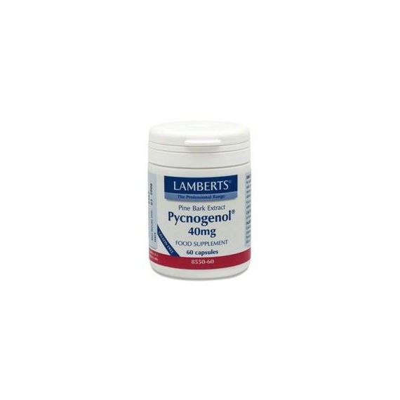 Pycnogenol - 60 Capsulas - Lamberts