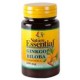 Ginkgo Bilova 500mg - 60 Comprimidos - Nature Essential